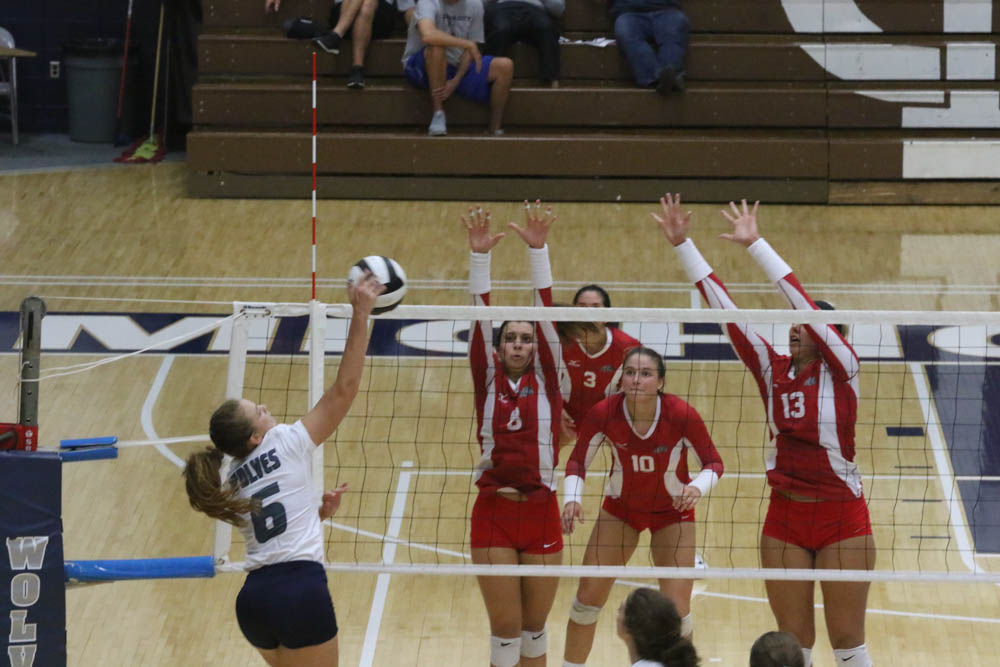Gallery: Girls volleyball - Crown Point at Michigan City
